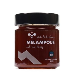 Μέλι βελανιδιάς 'melampous' 300gr-savvasmykonos.gr